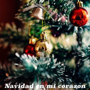 Nosotros le Deseamos una Feliz Navidad