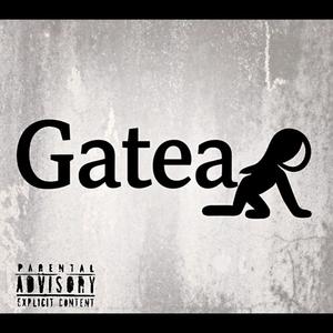 Gatea