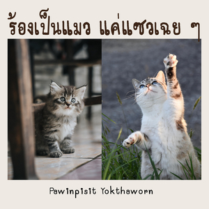 ร้องเป็นแมว แค่แซวเฉย ๆ