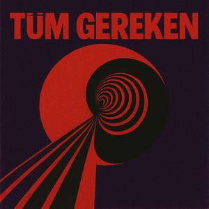 Tüm Gereken