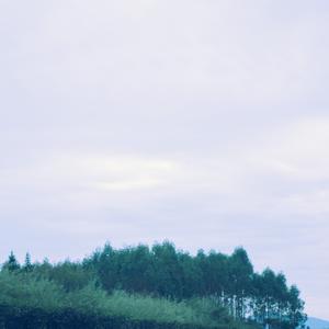 高山流水 (优美轻音乐)