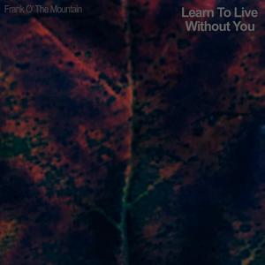 Learn To Live Without You (Acoustic Version)