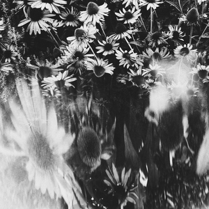 All I Want for Christmas is You