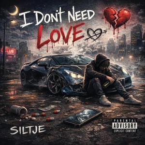 I Don't Need Love