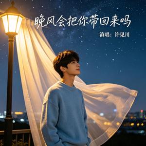 晚风会把你带回来吗