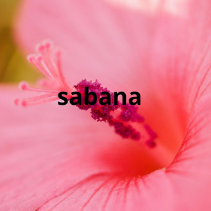 sabana