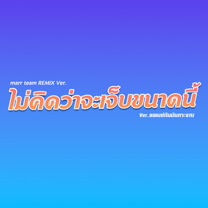 ไม่คิดว่าจะเจ็บขนาดนี้ (Remix)