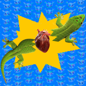 LINTERNA