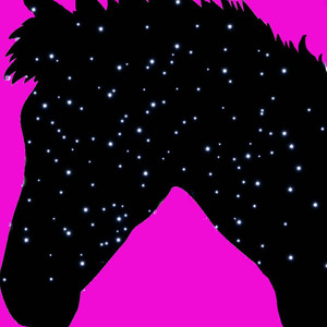 Horsing Around (Bojack Horseman)