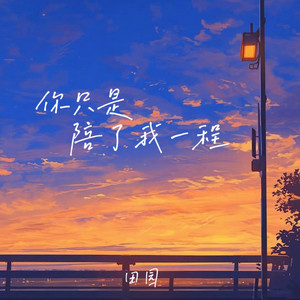 你只是陪了我一程(我却为你痛了一生)