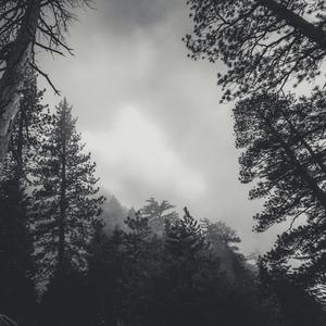 Hi-Hats Hurt Hmy Hears