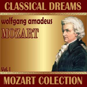 String Quartet in B Flat Major, K 210: Andante