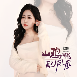 山鸡哪能配凤凰(dj苏平慢摇版)