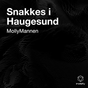 Snakkes i Haugesund