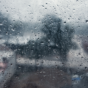 Rain Flows