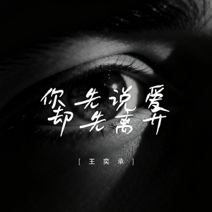 你先说爱却先离开