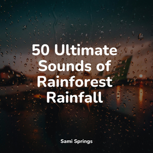 Rain, Vegetation, Wood, Heavy Wind