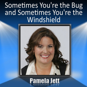 Sometimes You're the Bug and Sometimes You're the Windshield