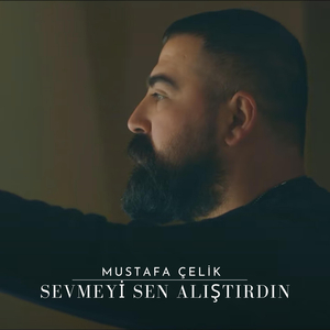 Sevmeyi Sen Alıştırdın