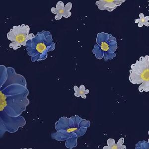 送你一朵小红花（致敬赵英俊先生）