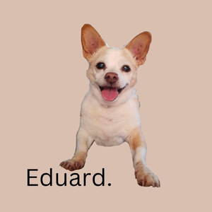 Eduard