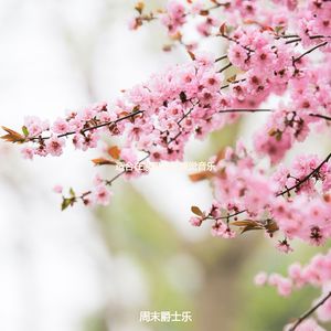 在家里工作清新的波萨诺伐舞曲