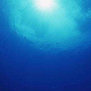 湖の真ん中.