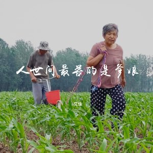 人世间最苦的是爹娘