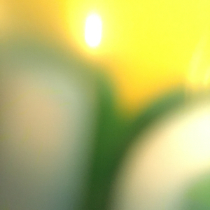 Mjölken var spenvarm