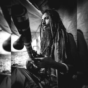 ঘুণে ধরা বাঁশ (Ghune Dhora Bash)