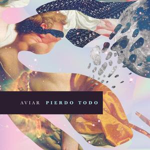 Pierdo Todo