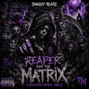 Reaper For The Matrix