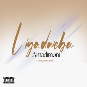liyadweba (feat. amadimoni & Lungelo)