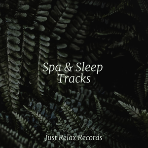 Eerie Waterside Lament