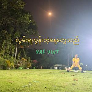 လွမ်းရလွန်းတဲ့နေ့တွေသည်