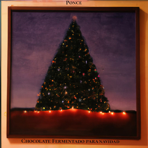 Chocolate Fermentado Para Navidad