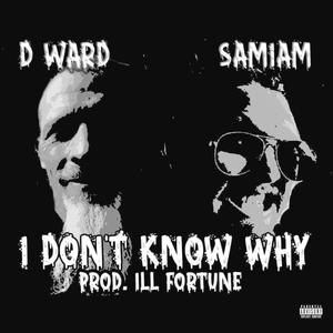 I Don't Know Why (feat. SAMIAM)