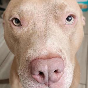 sex (feat. Ky Kiske, MIKE, Wocky Wock, Lil Tizzy, waterwrist, Jarennotjaren & Lemonade)