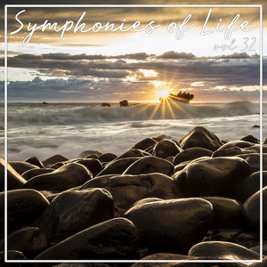 Piano Concerto No. 1, BB 91:III. Allegro Molto