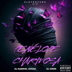 PENÉLOPE CHARMOSA VIP (ELETROFUNK) (feat. Dj Grdn)
