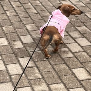 Dоброе Утро