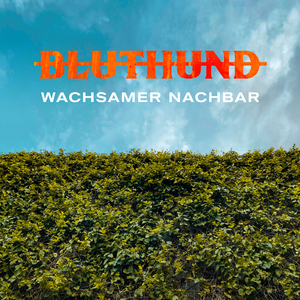 Wachsamer Nachbar