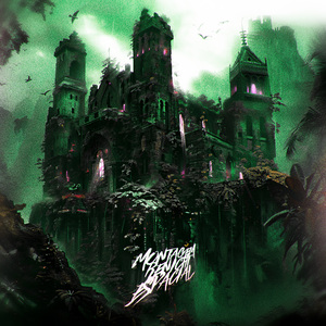 Montagem Renicht Espacial