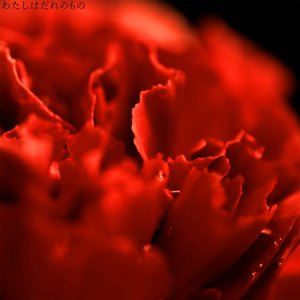 わたしはだれのもの