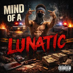 Mind Of A Lunatic