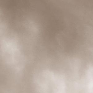 Disgrace (Draft)