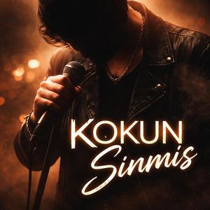 KOKUN SİNMİŞ