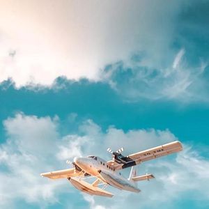 拧巴的人需要耐心的爱人