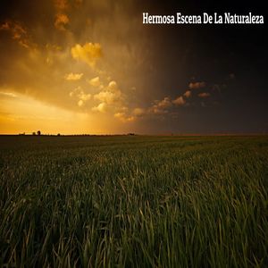 Reduce El Agotamiento