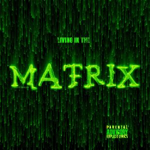 Living in the Matrix